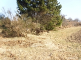 Ancien outil agricole dans un pré de Moyemont